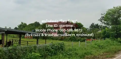 ขายบ้านเดี่ยว อุดรธานี เทียบพื้นที่ใช้สอยและราคา อัพเดทล่าสุด: รหัส: DSL-287 ต้องการขาย บ้าน ขายบ้าน ค.ส.ล. 1 ชั้น บ.โพนงาม ต.เพ็ญ อ.เพ็ญ จ.อุดรธานี 1800000 บาท 2ห้องนอน2ห้องน้ำ ขนาด 