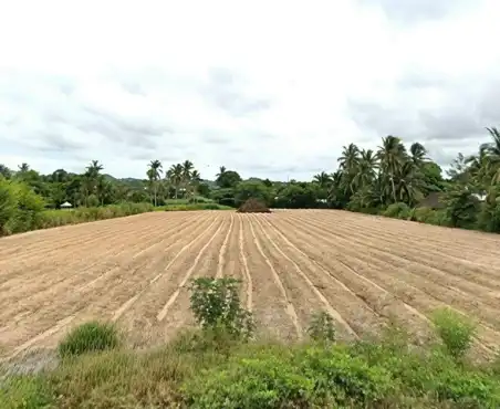 Land for sale in mall-homepro-phuket-samkong — new and resale at cheap prices.: -