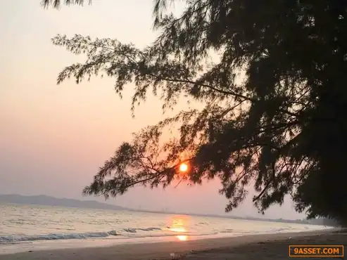 ขายรีสอร์ท อ.เมืองระยอง: ขายกิจการรีสอร์ทพร้อมที่ดินติดชายหาดทะเล อ.แกลง ระยอง 12ไร่ อ.เมือง จ.ระยอง ไร่ละ 20,000,000บาท โทร.095-7895835
