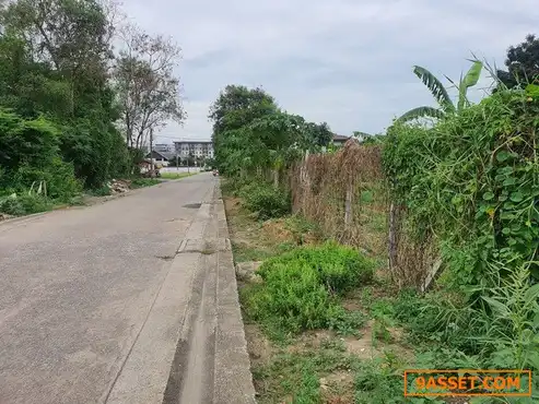 ขายที่ดิน ใกล้ MRT ศูนย์ราชการนนทบุรี (PK01): ขายที่ดิน ซอยงามวงศ์วาน 18 จุฬาเกษม หลังเดอะมอลล์งามวงศ์วาน เนื้อที่ 1 ไร่กว่า