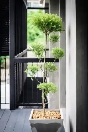 บ้านเดี่ยว POR4471 ให้เช่า บ้านเดี่ยว 2 ชั้น บ้านสวย โซนสุขุมวิท ใกล้BTS พร้อมพงษ์ และเอ็มควอเทียร์ ถ.สุขุมวิท แขวงคลองตัน เขตคลองเ