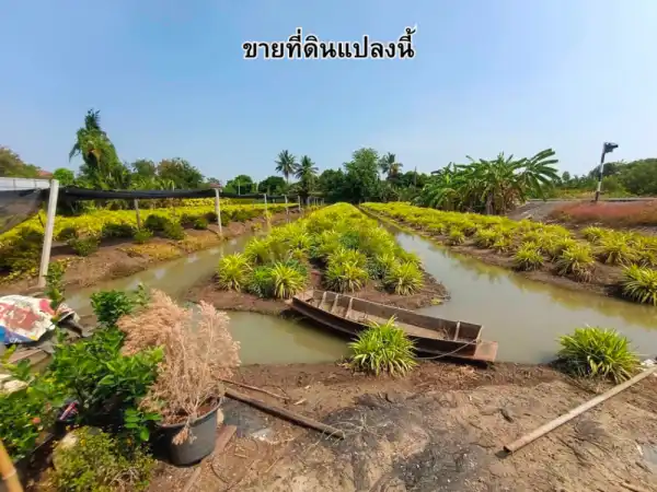 ขายที่ดิน - 17,000,000 บาท